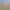Thumb 6
