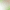 General Pest Treatment voucher