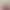 Thumb 6