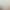 Thumb 6