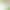 General Pest Treatment voucher